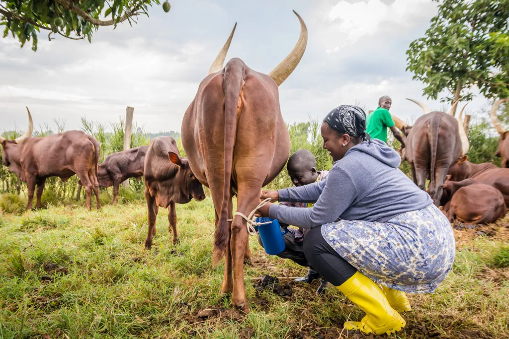 4 Day / 3 Night Emburara Farm Lodge Experience