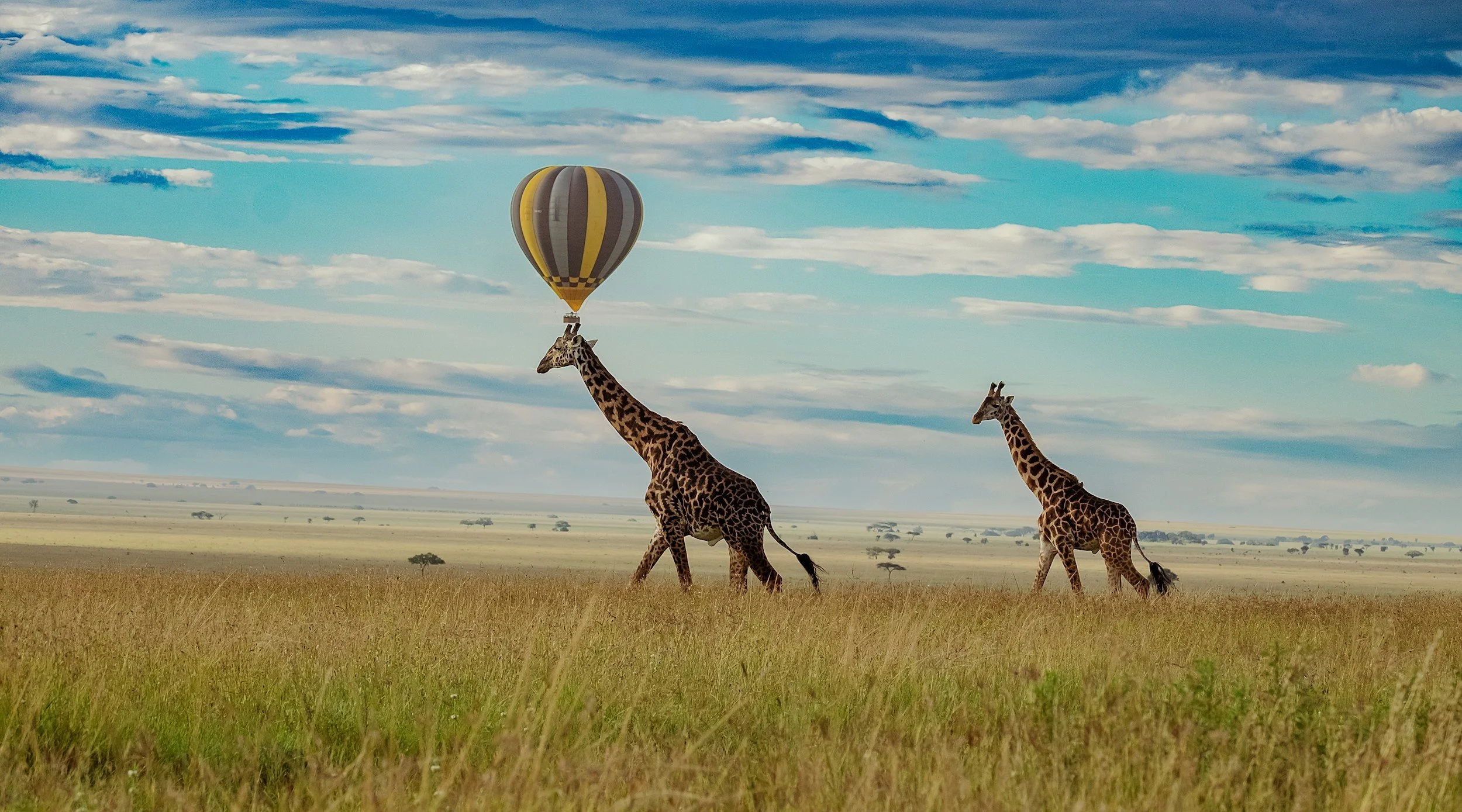 Tanzania