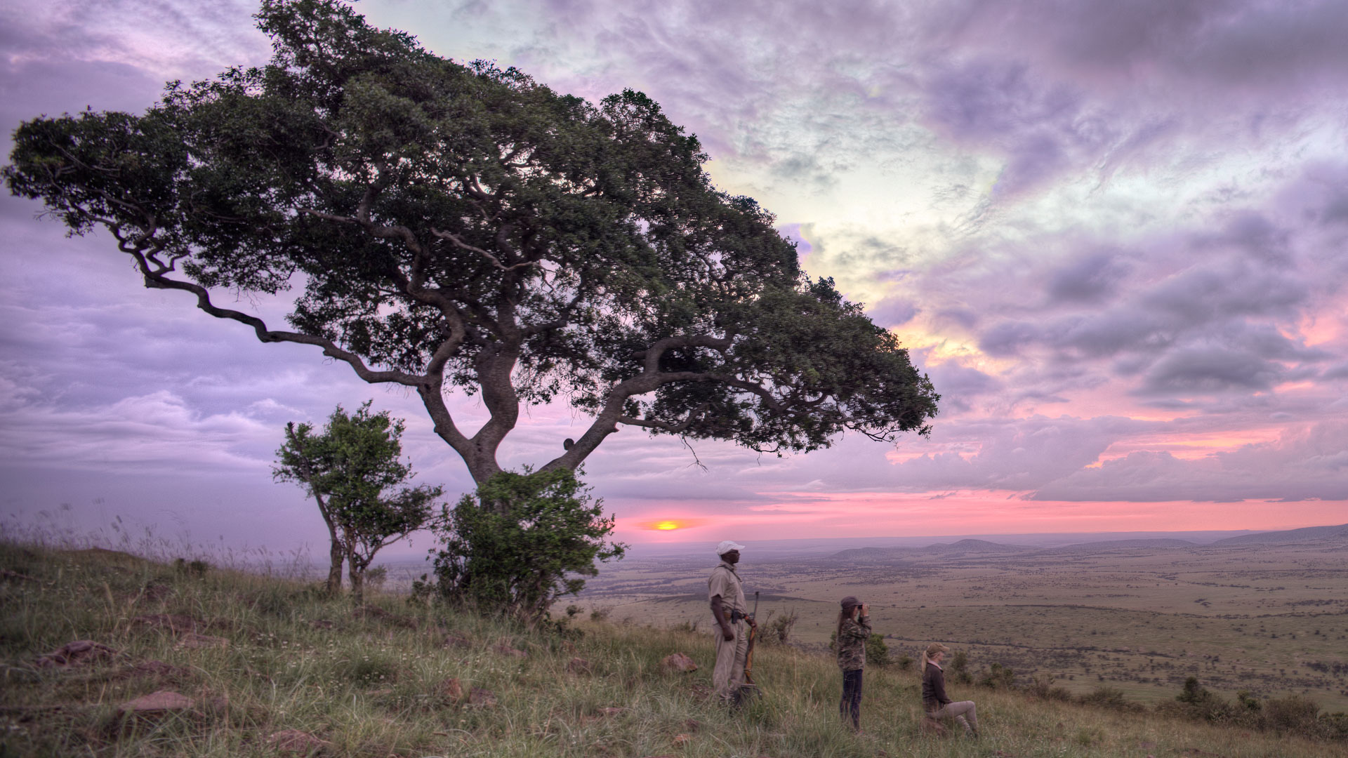 Discover the Nocturnal Wonders of Uganda’s Wildlife with Emburara