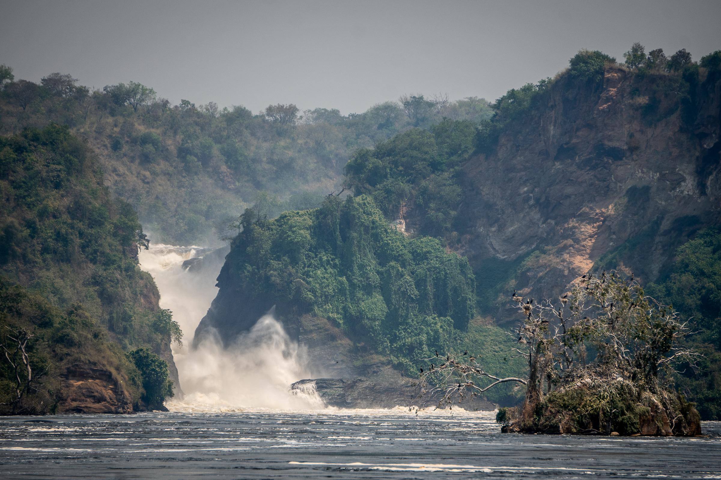 Murchison Falls