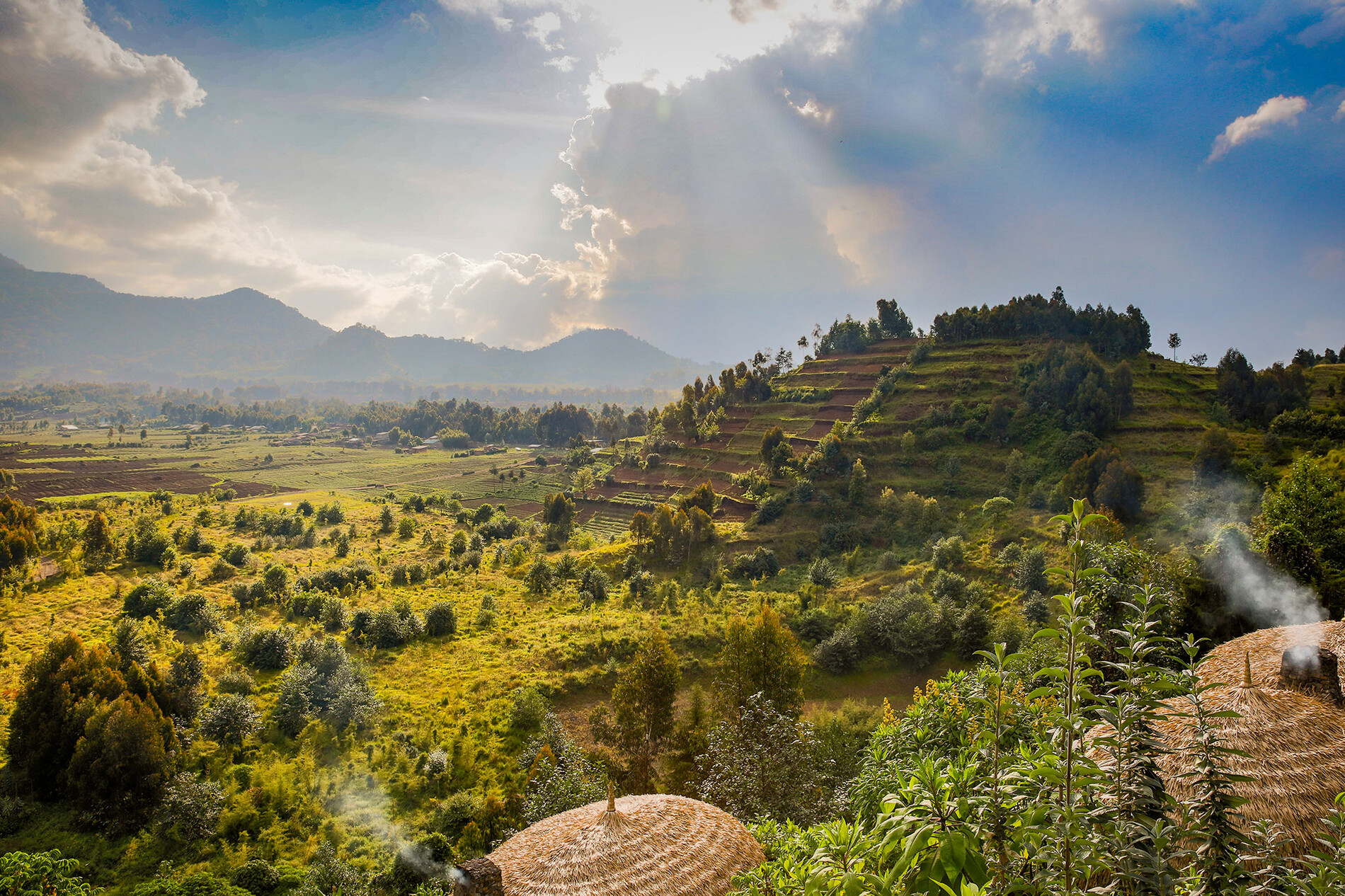 The Best Time to Visit Uganda for Your Dream Safari Experience