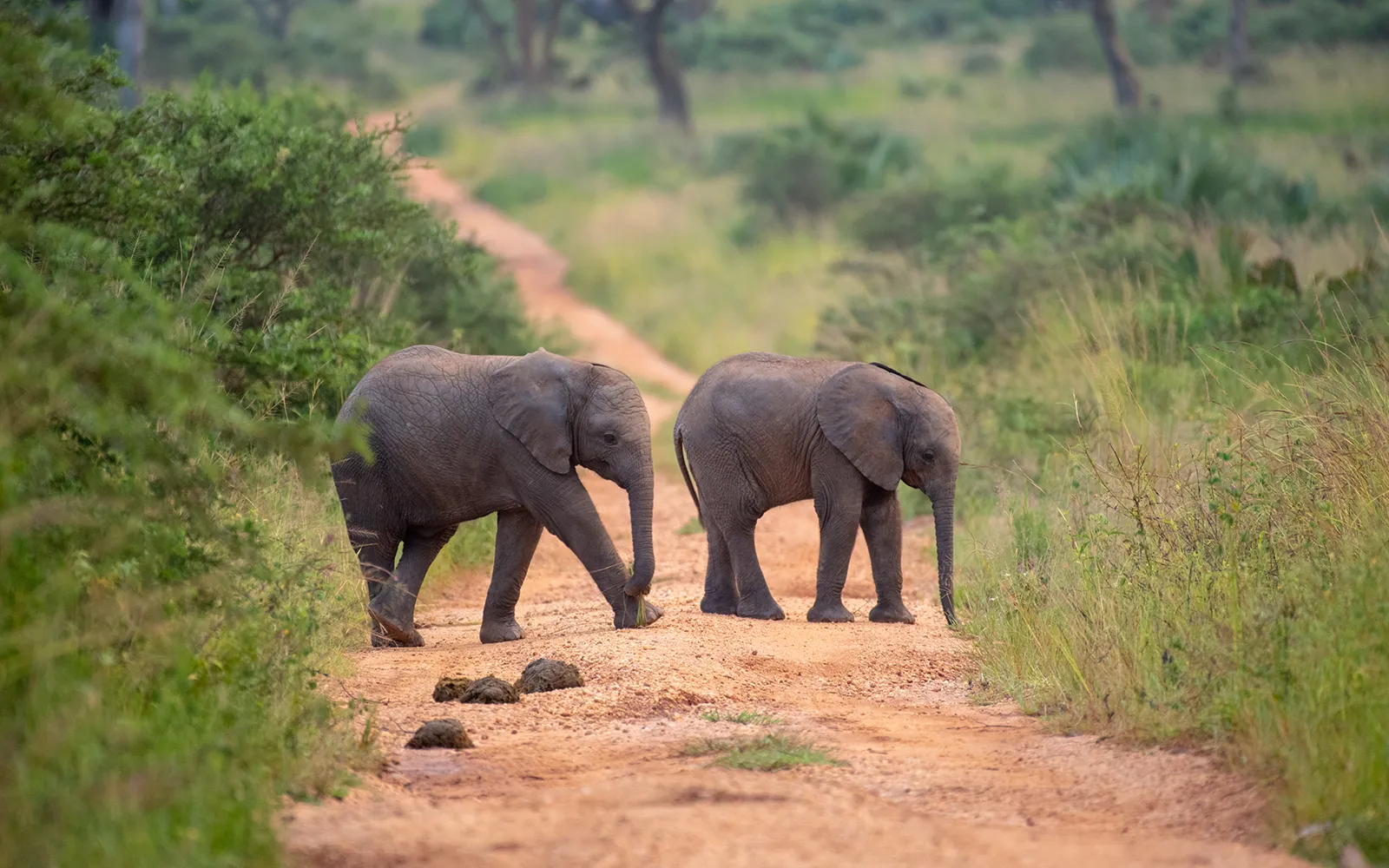 Lake Mburo national Park